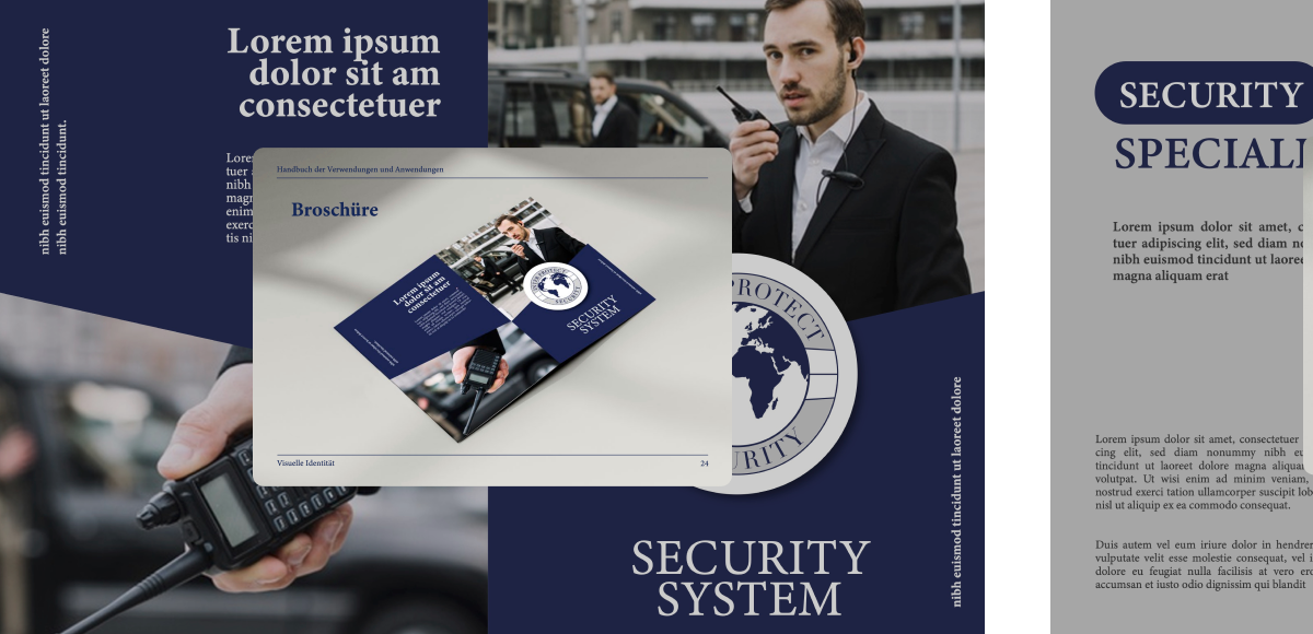 Project section image