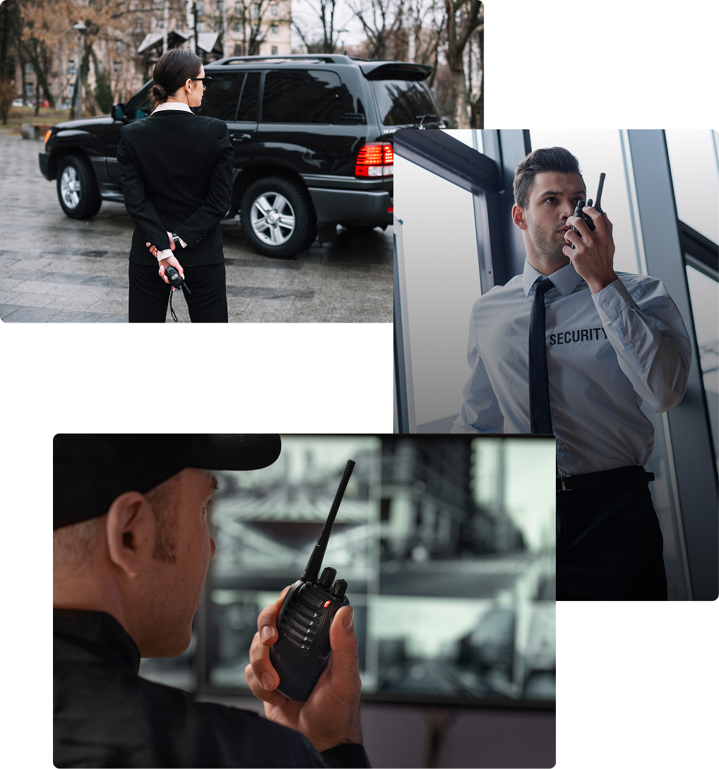 Project section image